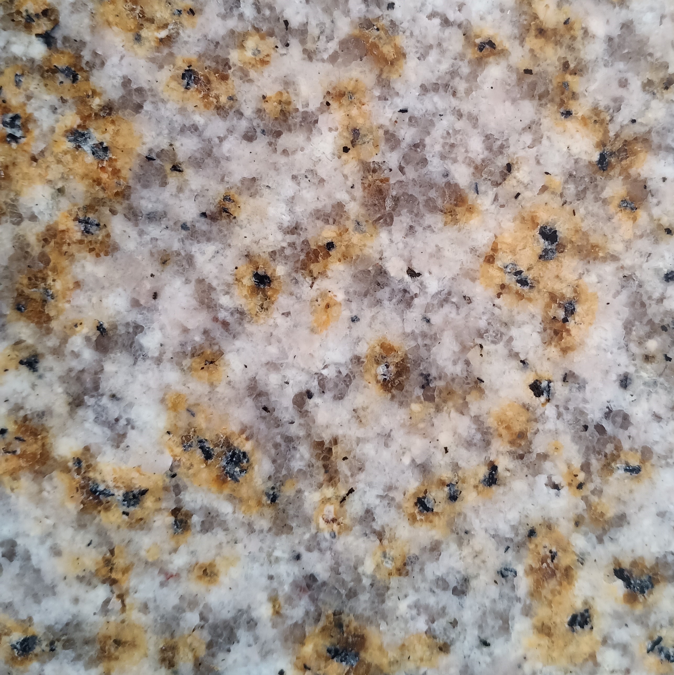 黃銹石光面制造商